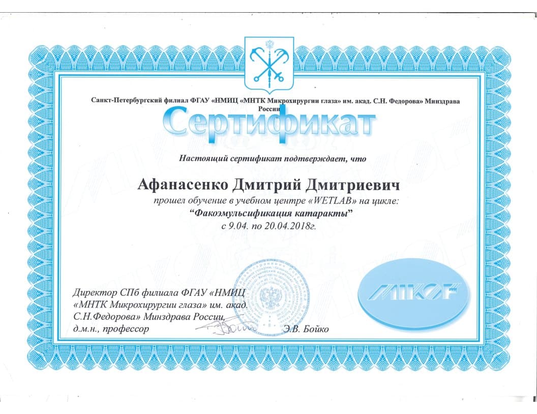 Диплом или сертификат 3 — Афанасенко Дмитрий Дмитриевич